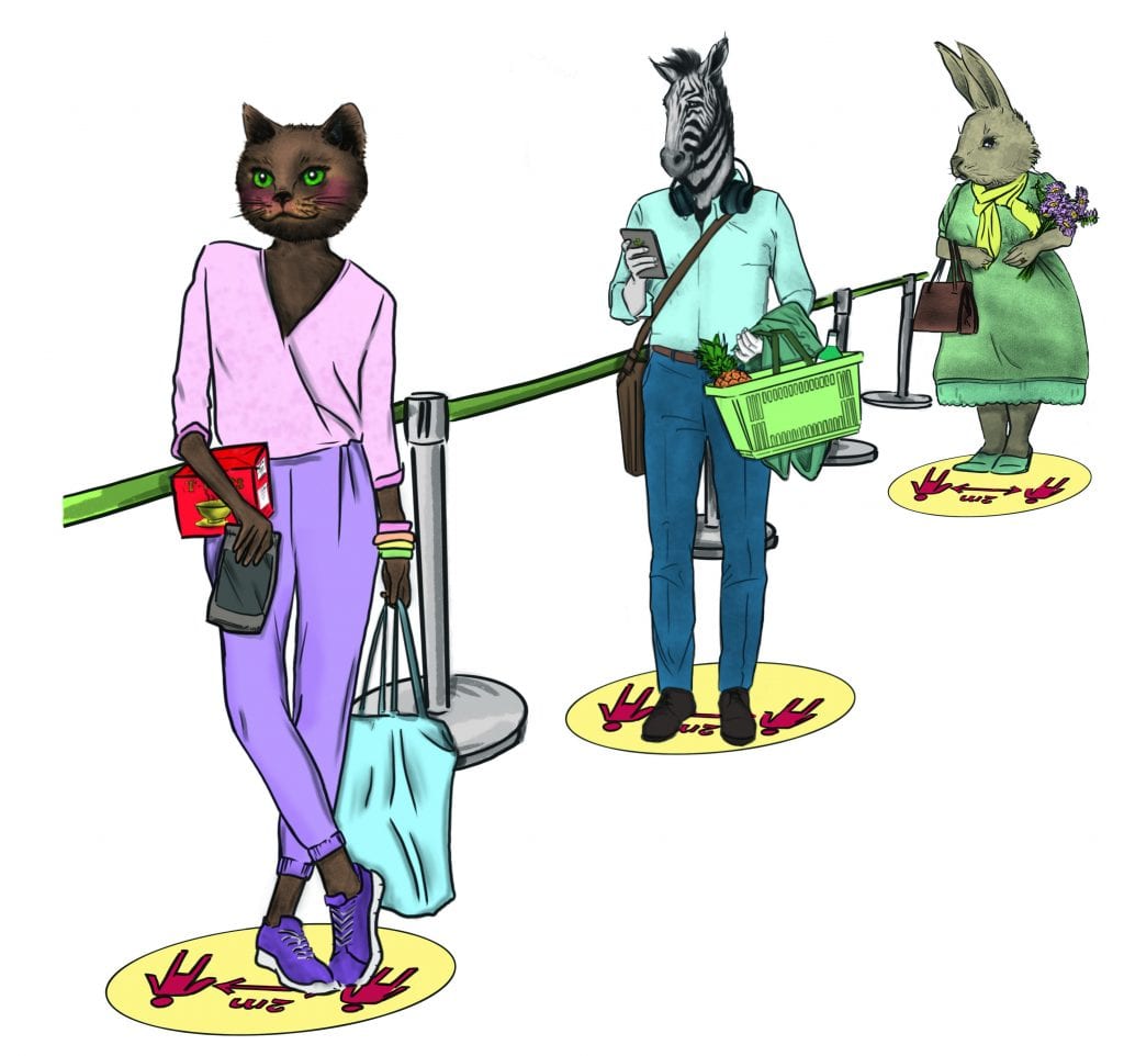 Cat, Zebra and Bunny Social Distancing Coloured Cat, Zebra and Bunny Social Distancing Coloured